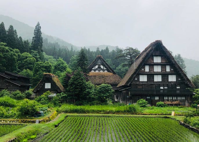 春夏秋冬いつでも楽しめる 世界遺産 白川郷 の魅力とおすすめスポット Live Japan 日本の旅行 観光 体験ガイド