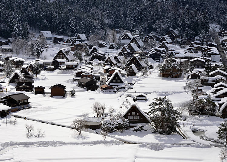 披上厚厚的白雪的冬季白川乡（照片提供：岐阜县白川村役场）