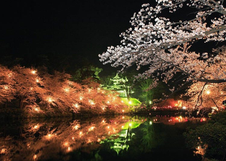 7. 約4000本のソメイヨシノが繰りひろげる「高田城址公園」の日本三大夜桜