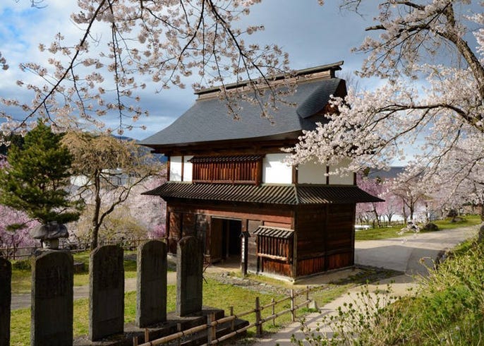 日本中部地区赏樱花景点11选 兼六园 金泽城 松本城 Live Japan 日本的旅行 旅游 体验向导