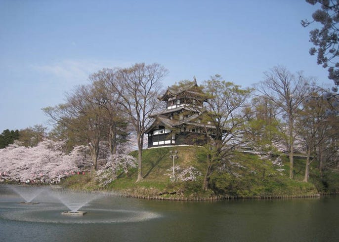 22日本中部地區賞櫻花景點11選 兼六園 金澤城 松本城 Live Japan 日本旅遊 文化體驗導覽