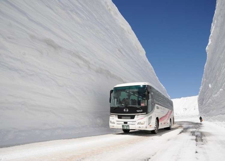 Tateyama Kurobe Alpine Route: Here's How to Enjoy Japan's Massive Snow Walls in 2024
