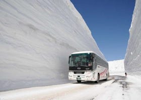 Tateyama Kurobe Alpine Route: Here's How to Enjoy Japan's Massive Snow Walls in 2025