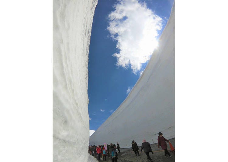 Experience the Snow Wall Walk up close