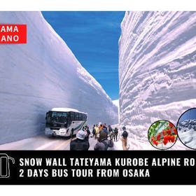 Snow Wall Tateyama Kurobe Alpine Route 2 Days Bus Tour from Osaka
Image: Klook