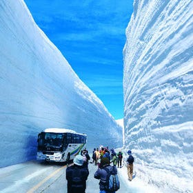 (From Tokyo) Kamikochi & Tateyama Kurobe Alpine Route Tour
Details & bookings ▶
Image: Klook