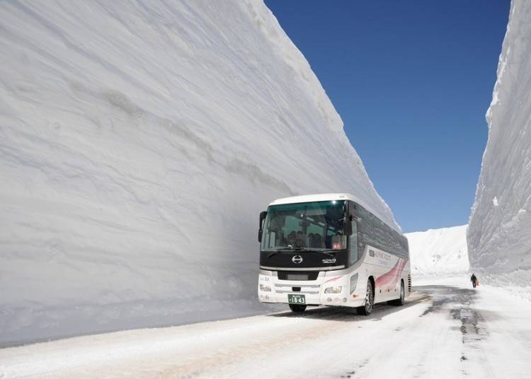 高耸壮观的雪壁令人心生敬畏！立山黑部阿尔卑斯山脉路线「雪之大谷」