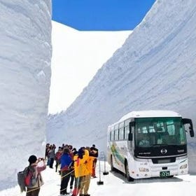 立山黑部大雪谷／飛驒高山2天1夜之旅（大阪出發）
▶點擊預約
圖片提供：Klook