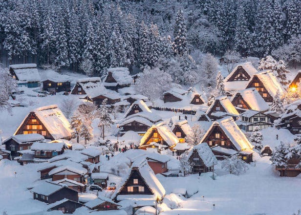 宛如梦中世界！日本中部地区绝美赏雪景点7选