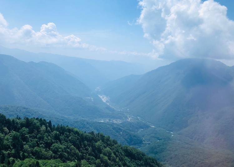 The view from inside the gondola