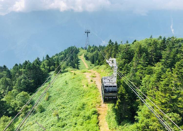 The lookout platform is directly above the gondola boarding platform, so you can get an up-close look at the gondola in action from here too