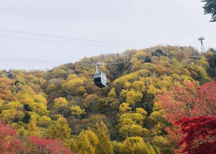 世界遺産「白川郷」や新穂高の紅葉を効率よくまわれる、おすすめ2泊3日バスの旅