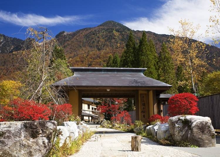 The stately entrance gate with its beautiful autumn leaves (image courtesy of: Kyoritsu Maintenance)