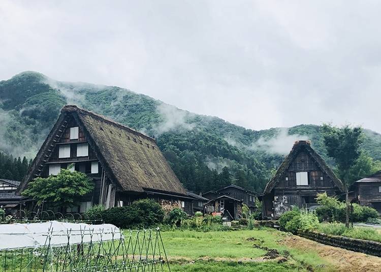 白川郷合掌村、新穂高赏枫之旅！自助巴士游3天2夜中部魅力景点玩好玩满