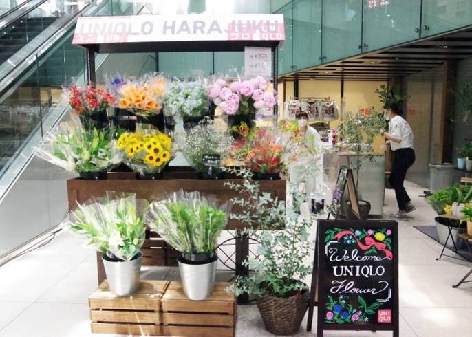 ユニクロが原宿に帰ってきた 話題のutやビリー アイリッシュ像など注目ポイントを一挙紹介 Live Japan 日本の旅行 観光 体験ガイド