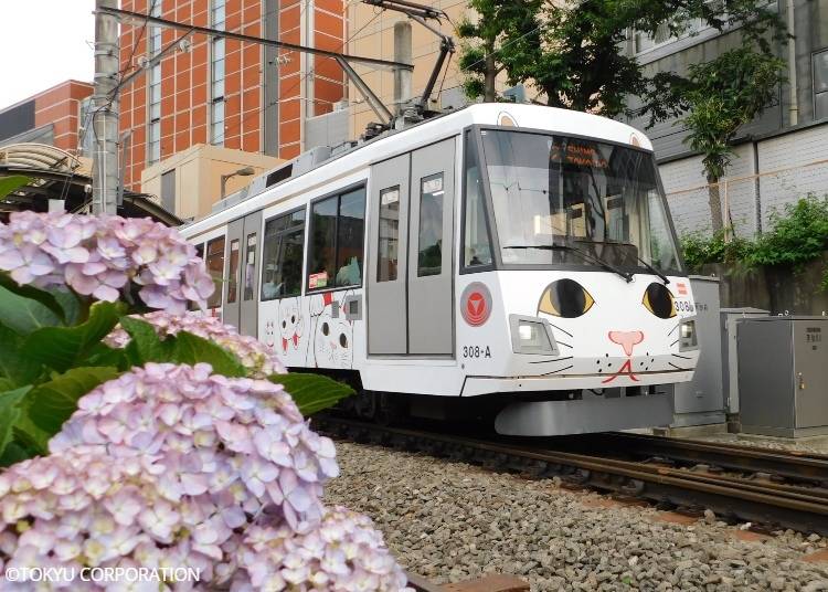 The 300 Series "Lucky Maneki-Neko Train” departing from Sangenjaya Station on the modern-day Setagaya Line. Here you can feel the nature and liveliness of the train up close. Copyright: © TOKYU CORPORATION