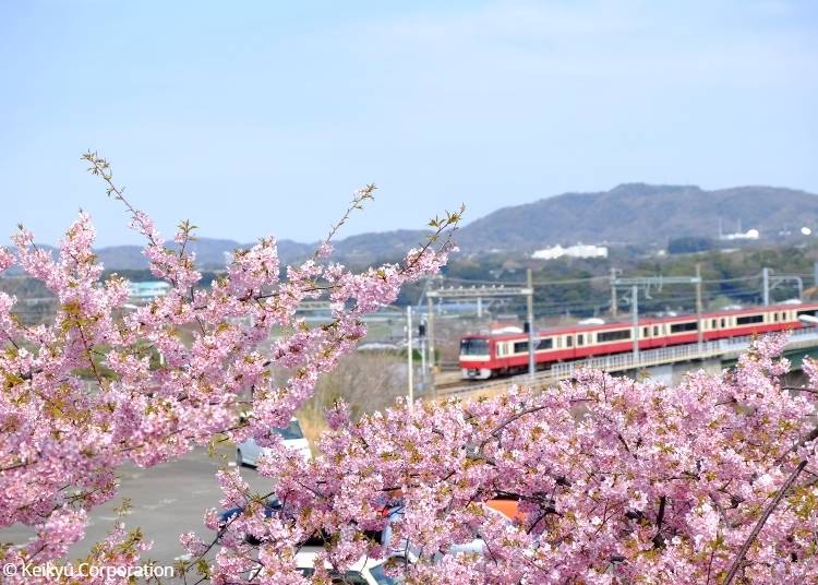 2100 series train in mid-February between Miura Kaigan Station and Misakiguchi Station. Copyright: © Keikyu Corporation