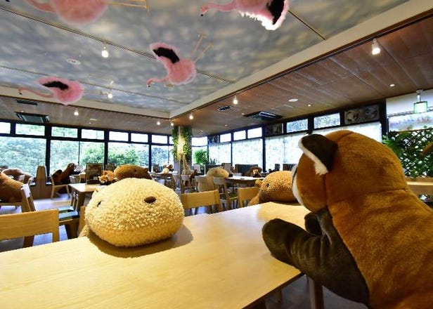 Plushies and Robots to the Rescue! How Japan is Coping with COVID-19 at Restaurants, Hotels and Transportation