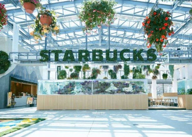 Japan's Newest Starbucks Opens Inside a Blooming Greenhouse (We Have Photos!)