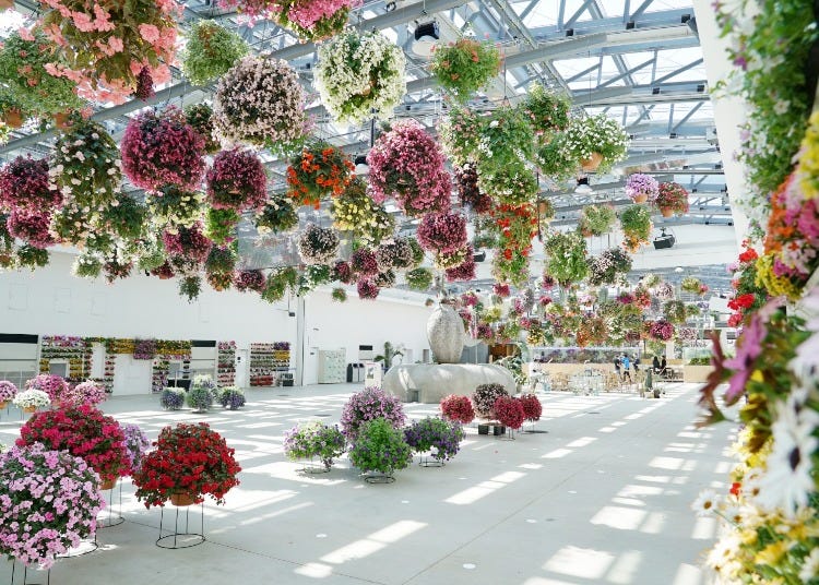 This Japanese Starbucks Opened Inside a Blooming Greenhouse (We Have Photos)