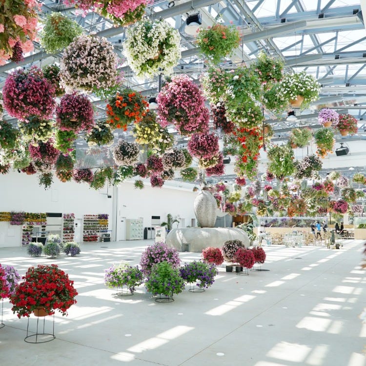 Starbucks　ベアリスタ　フラワーマーケットガーデナー STARBUCKS Korea 2025 Flower Market Gardener Bearista Bear