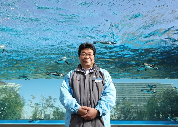 陽光水族館館長 丸山 克志（まるやま かつし）