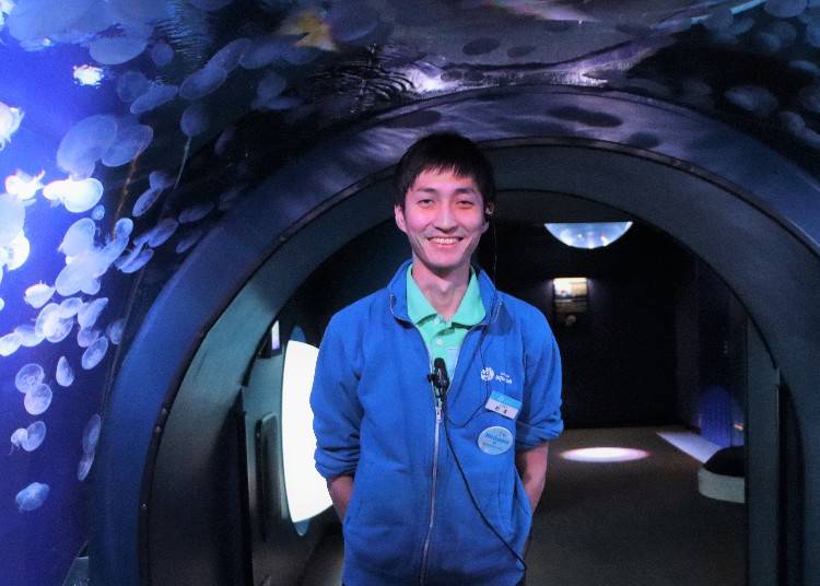 陽光水族館飼育員 水母擔當 杉本 巧樹(すぎもと こうき)