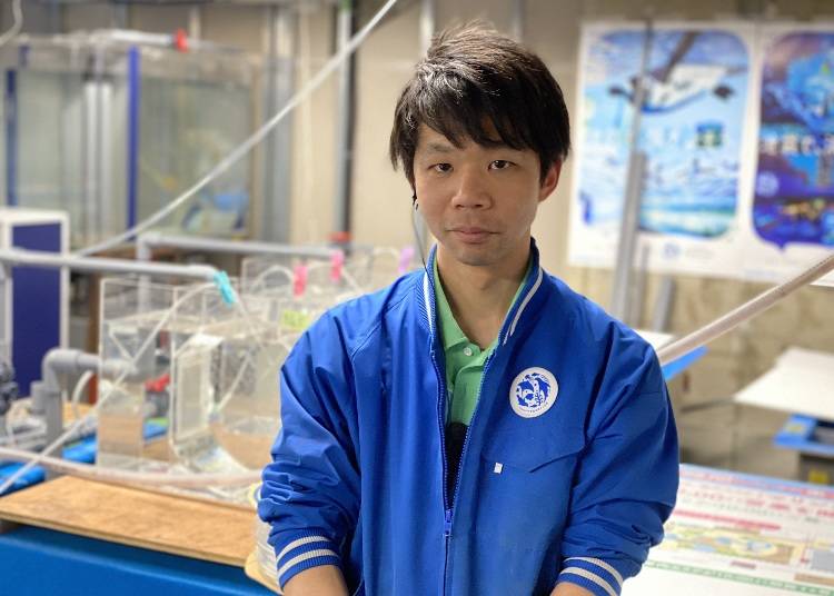 陽光水族館飼育員 設備擔當 島森 翔大郎（しまもり しょうたろう）