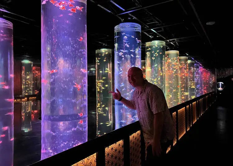 32. Explore the Art Aquarium Museum in Ginza