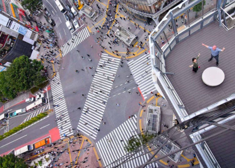 东京体验⑦从高处瞭望涩谷站前交叉路口