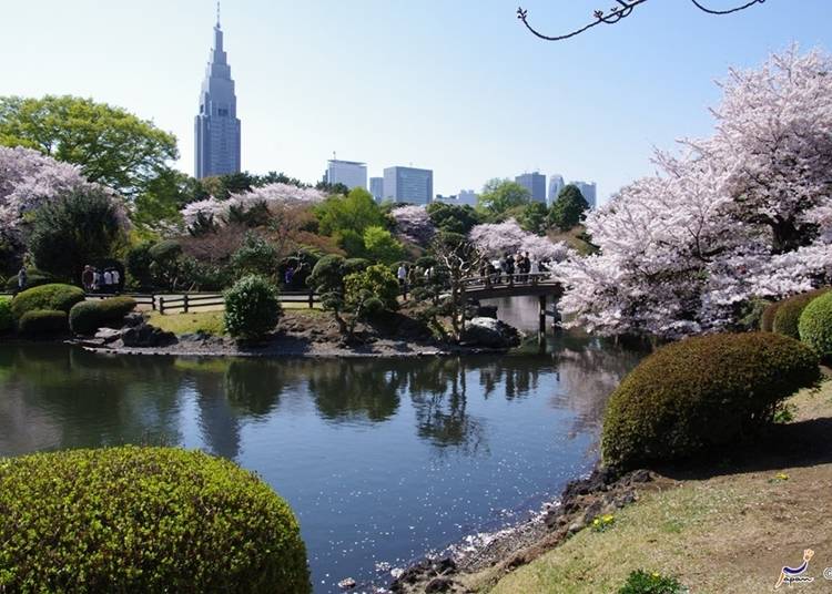 东京体验㉗三种风格庭园一次享受的新宿御苑