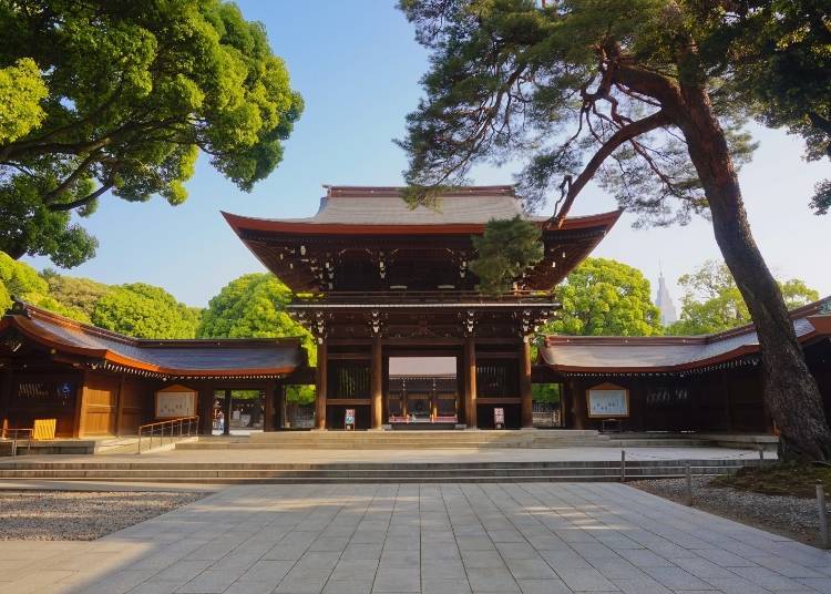 東京體驗⑤環繞充滿神聖氣氛的神社
