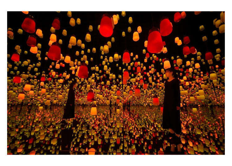 Teamlab秋季限定作品 紅葉 彼岸花各種秋季美景相繼登場 Live Japan 日本旅遊 文化體驗導覽