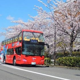 Book Now ▶ Kyoto Hop-On Hop-off sightseeing bus by Skyhop Bus (1-day / 2-day ticket)