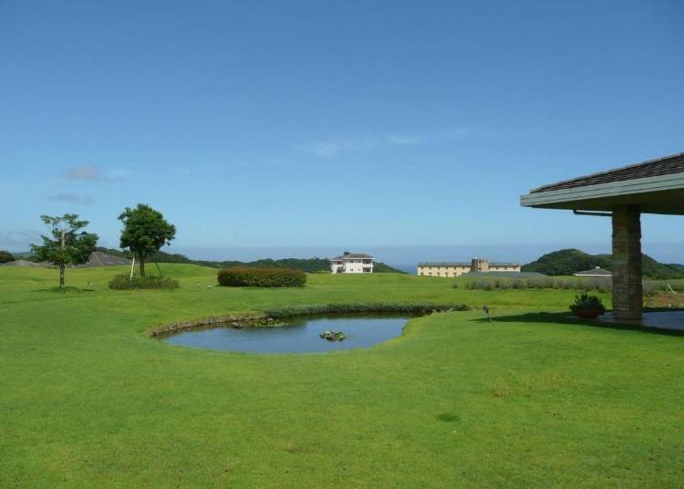 This accommodation boasts an expansive outdoor area (Image: Booking.com)