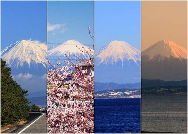 ひとつの町で全く魅力の異なる富士山7景！東京から一時間で行ける焼津で写真と海鮮グルメ旅