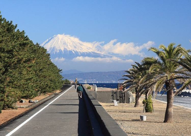 2. Mt. Fuji from the Beach: See Japan's iconic mountain while walking along the Tajirihama Coast