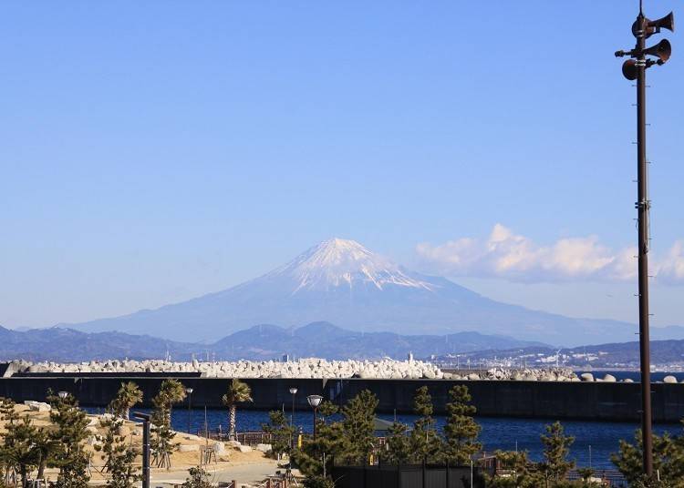 6. Mt. Fuji over seafood: Enjoy seaside BBQ and Mt. Fuji from terrace seating