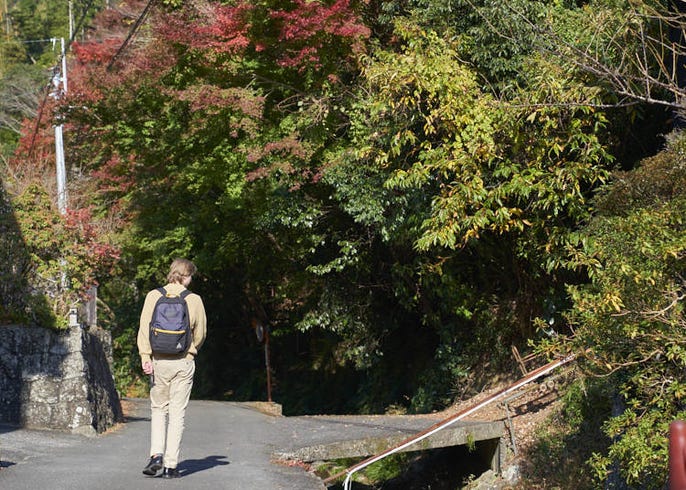 ひとつの町で全く魅力の異なる富士山7景 東京から一時間で行ける焼津で写真と海鮮グルメ旅 Live Japan 日本の旅行 観光 体験ガイド