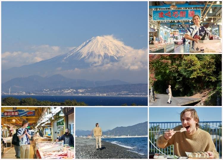 ひとつの町で全く魅力の異なる富士山7景！東京から一時間で行ける焼津で写真と海鮮グルメ旅 - LIVE JAPAN (日本の旅行・観光・体験ガイド)