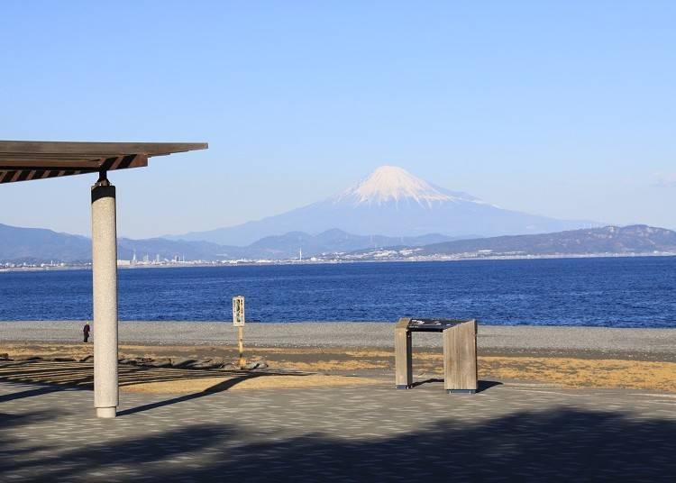③【富士山×草地】坐在石津海岸公園的長凳上獨享富士山美景