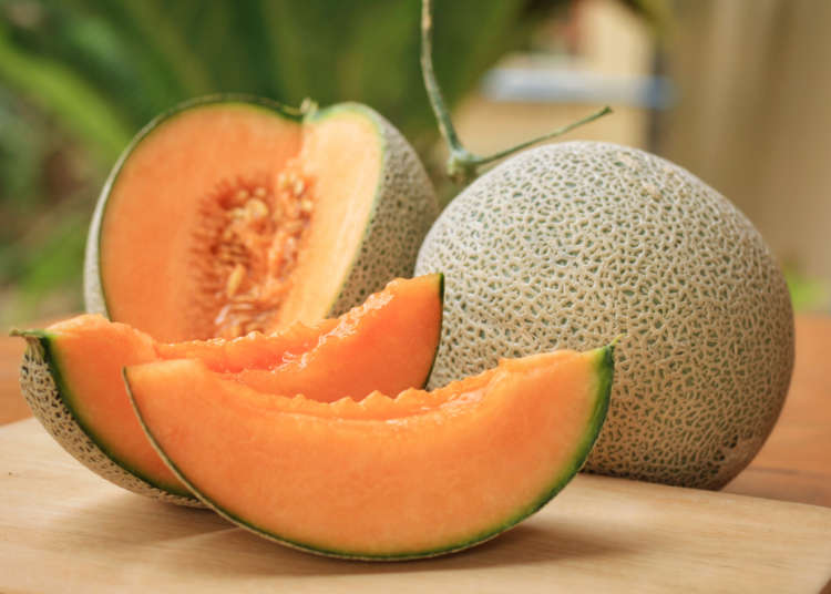 Why Japanese Melons Are Must-Eat Fruits in Japan (And How ...
