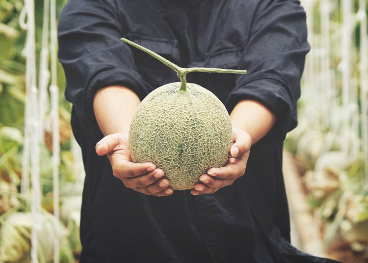 4. How to choose the most delicious melons