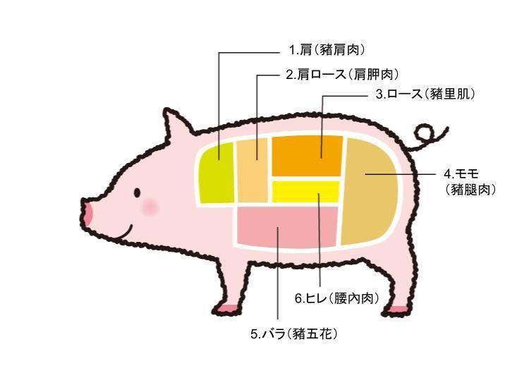图片来源：honokaki design