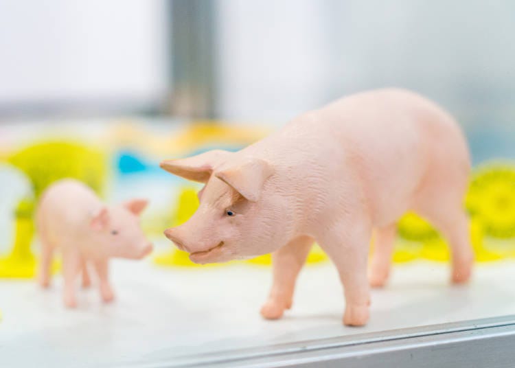 日本的銘柄豚、品牌豬