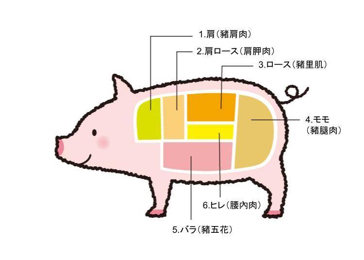 圖片來源：honokaki design
