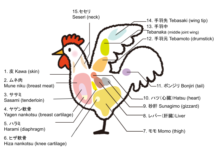 Cuts of chicken and their unique characteristics