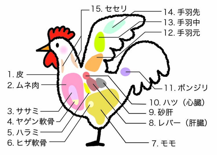 鶏肉の部分名と特徴