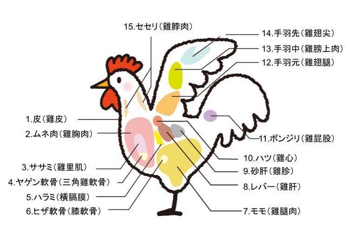 今晚吃雞啦 日本 地雞 一般雞肉差異介紹 推薦必吃地雞10選 Live Japan 日本旅遊 文化體驗導覽