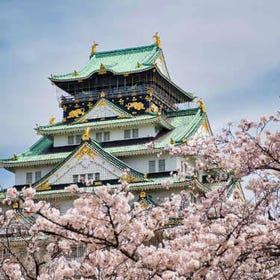 大阪のおすすめ桜名所10選